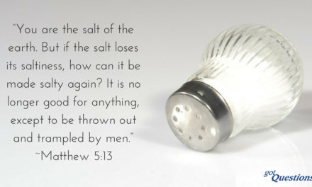 Missional Metaphors of “being salt and light”: The Functions of Jesus’ Faithful Followers in Secular Age.
