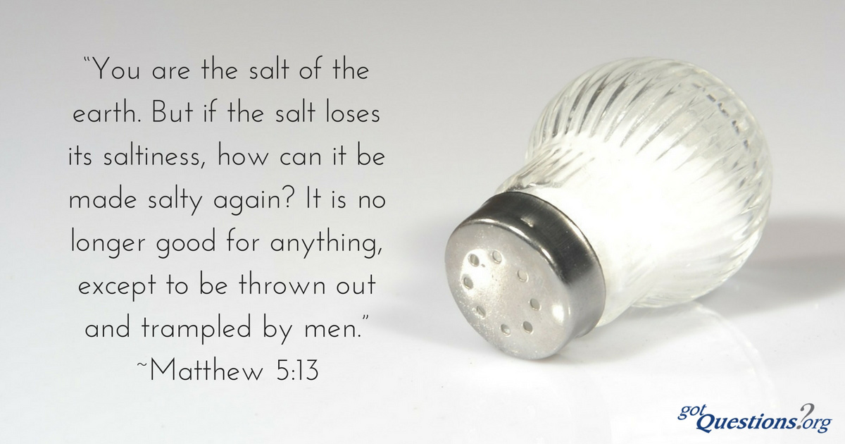Missional Metaphors of “being salt and light”: The Functions of Jesus’ Faithful Followers in Secular Age.