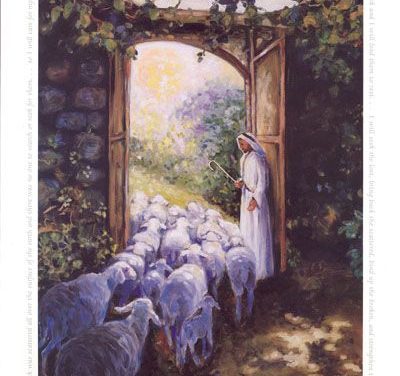 Missional Marks of Jesus’ sheep: Hope for the lost sheep.