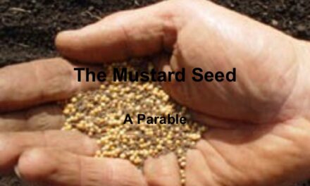 Living Kingdom Identity: Dying to flourish like Mustard Seed.